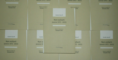 NON ESILIARTI (POESIE 1972 - 2022) di Guido Garufi