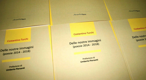 DELLE NOSTRE IMMAGINI (POESIE 2014 - 2018) di Costantino Turchi