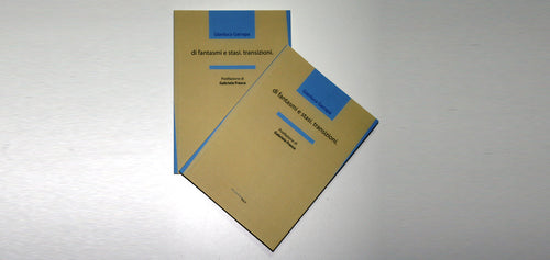 DI FANTASMI E STASI. TRANSIZIONI. di Gianluca Garrapa
