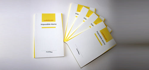 IMPOSSIBILE RITORNO di Lucilla Niccolini