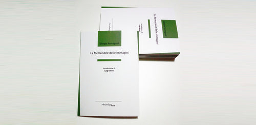 LA FORMAZIONE DELLE IMMAGINI di Giorgia Romagnoli