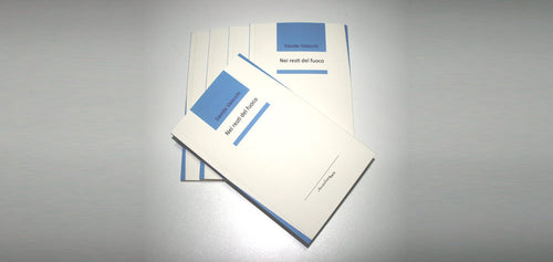 NEI RESTI DEL FUOCO di Davide Valecchi