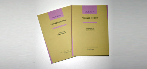 PAESAGGIO CON OSSA di Lella De Marchi