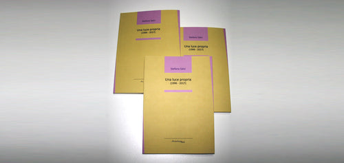 UNA LUCE PROPRIA di Stefano Salvi